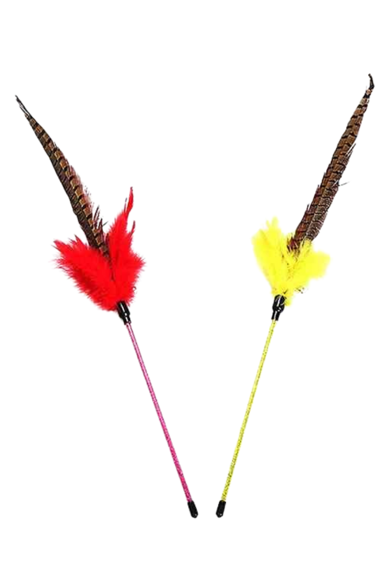 Pheasant Feather — Purrniture